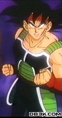 bardock_narrow.jpg